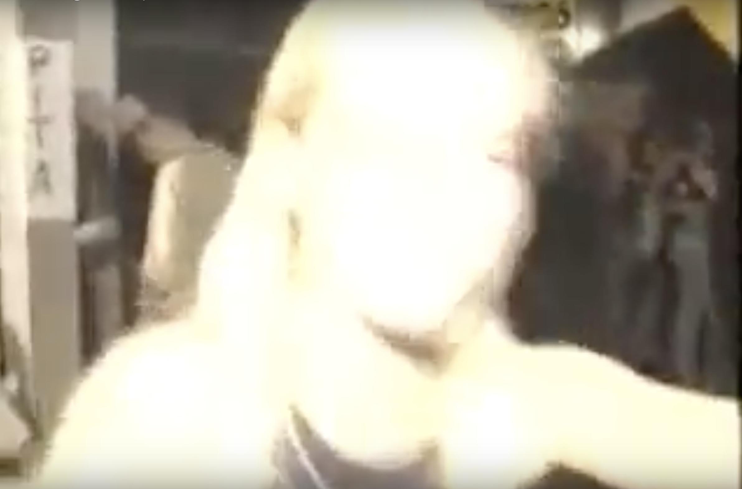 Skärmavbild 2019-04-28 kl. 19.38.47.jpg